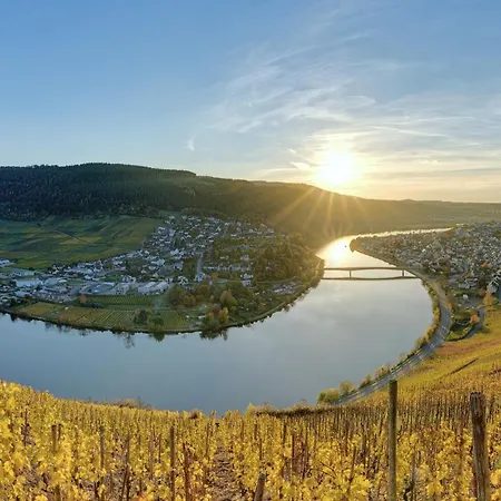 Flussbett - Appartement An Der Mosel Mehring  Exterior photo