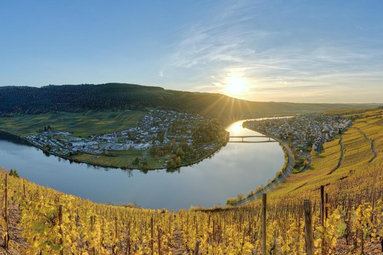 Flussbett - An Der Mosel *